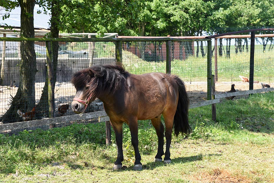 Foto aus der Fotogruppe 