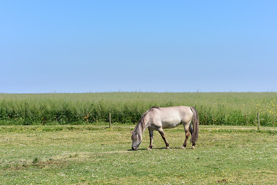 Foto aus der Fotogruppe 