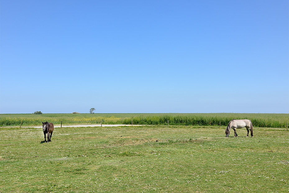 Foto aus der Fotogruppe 